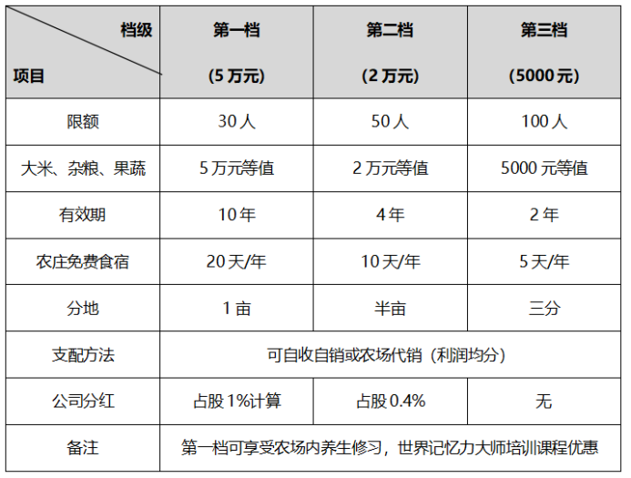 營銷策劃公司